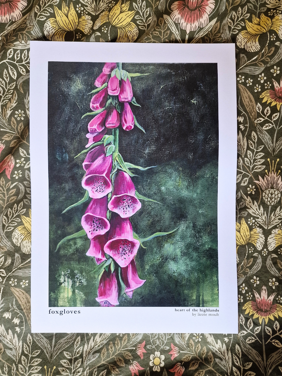 "Foxgloves" Heart of the Highland Series, Fine Art Print