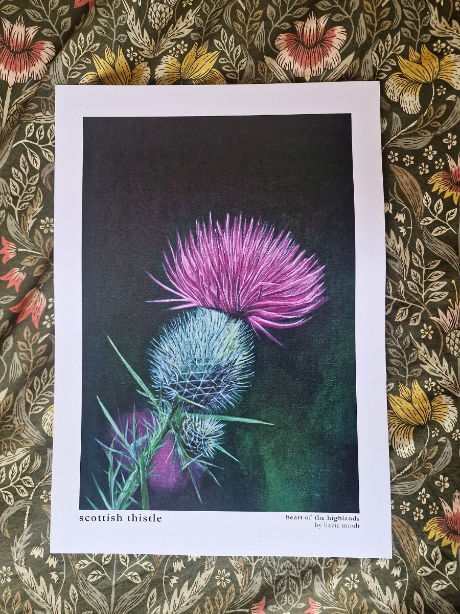 "Scottish Thistle" Heart of the Highland Series, Fine Art Print