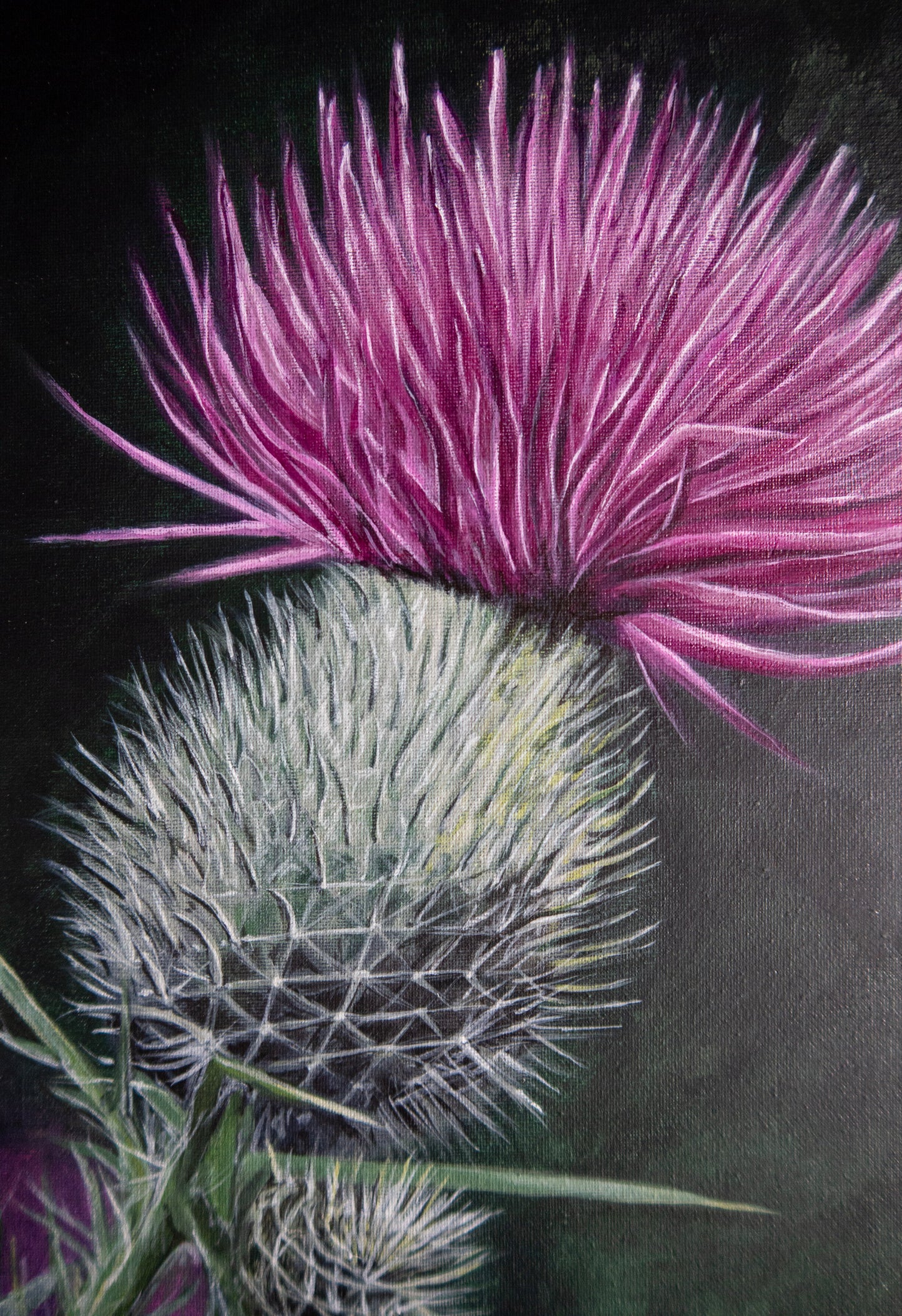 Scottish Thistle - Original - Heart of the Highland Series