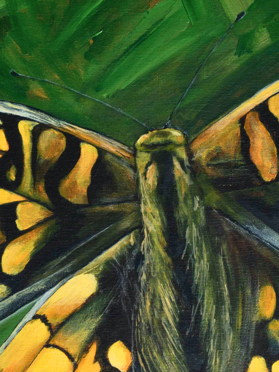 Common Butterfly - Original - Heart of the Highland Series