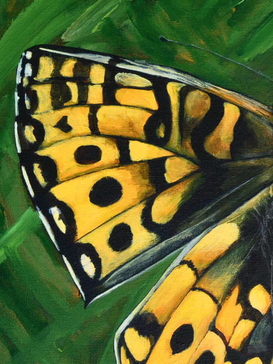 Common Butterfly - Original - Heart of the Highland Series