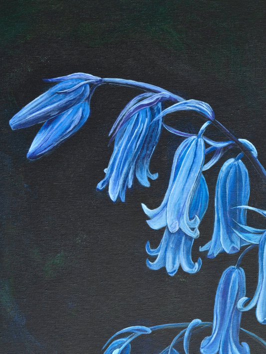 Bluebells - Original - Heart of the Highland Series