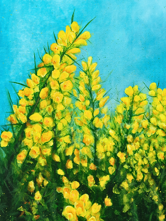 Gorse - Original - Heart of the Highland Series