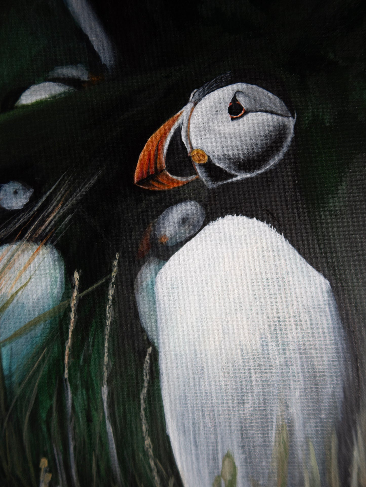 Puffin Original