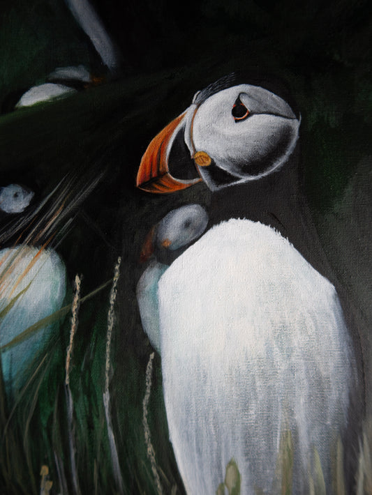 Puffin - Original - Heart of the Highland Series