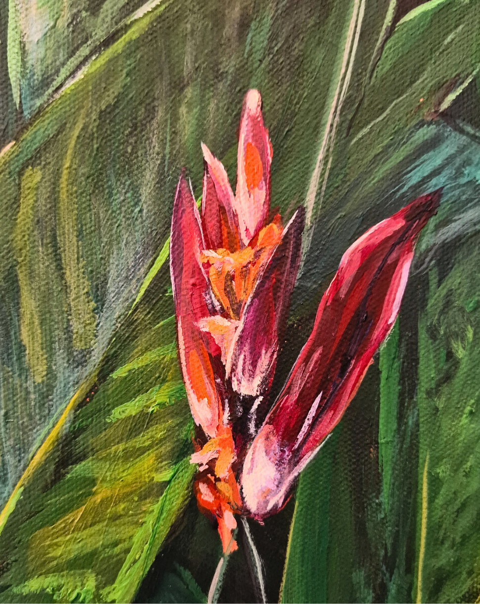 Flames in the Understory