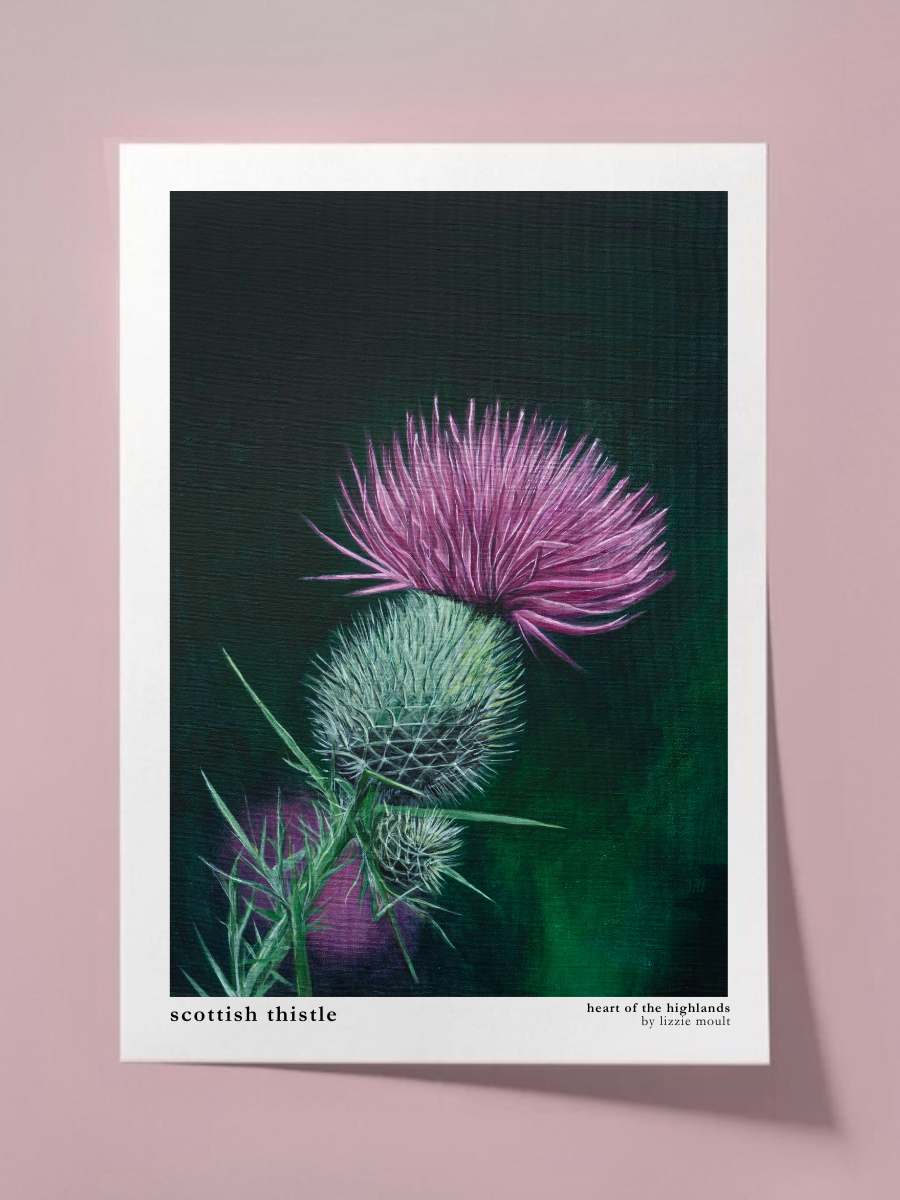 "Scottish Thistle" Heart of the Highland Series, Fine Art Print