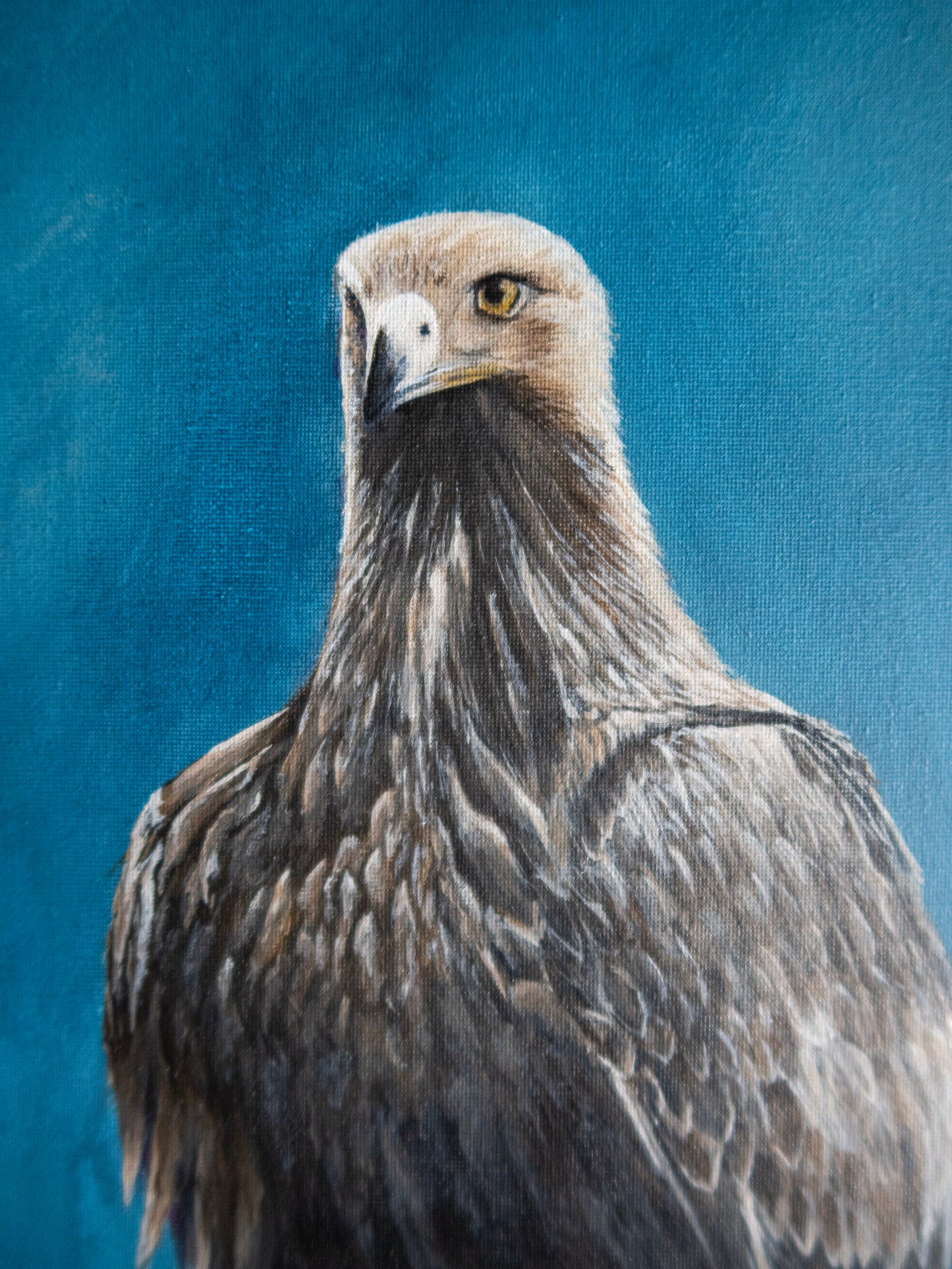 Golden Eagle - Original - Heart of the Highland Series