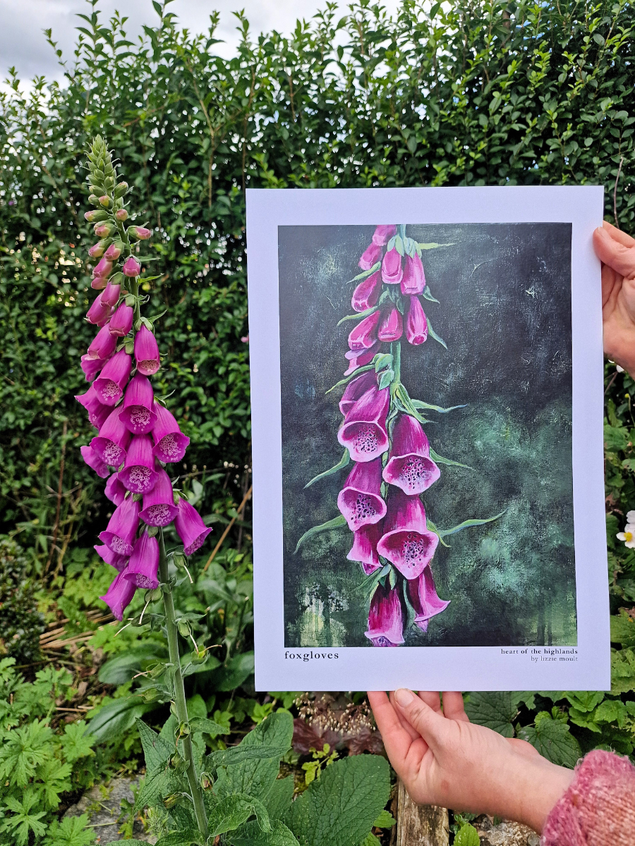 "Foxgloves" Heart of the Highland Series, Fine Art Print