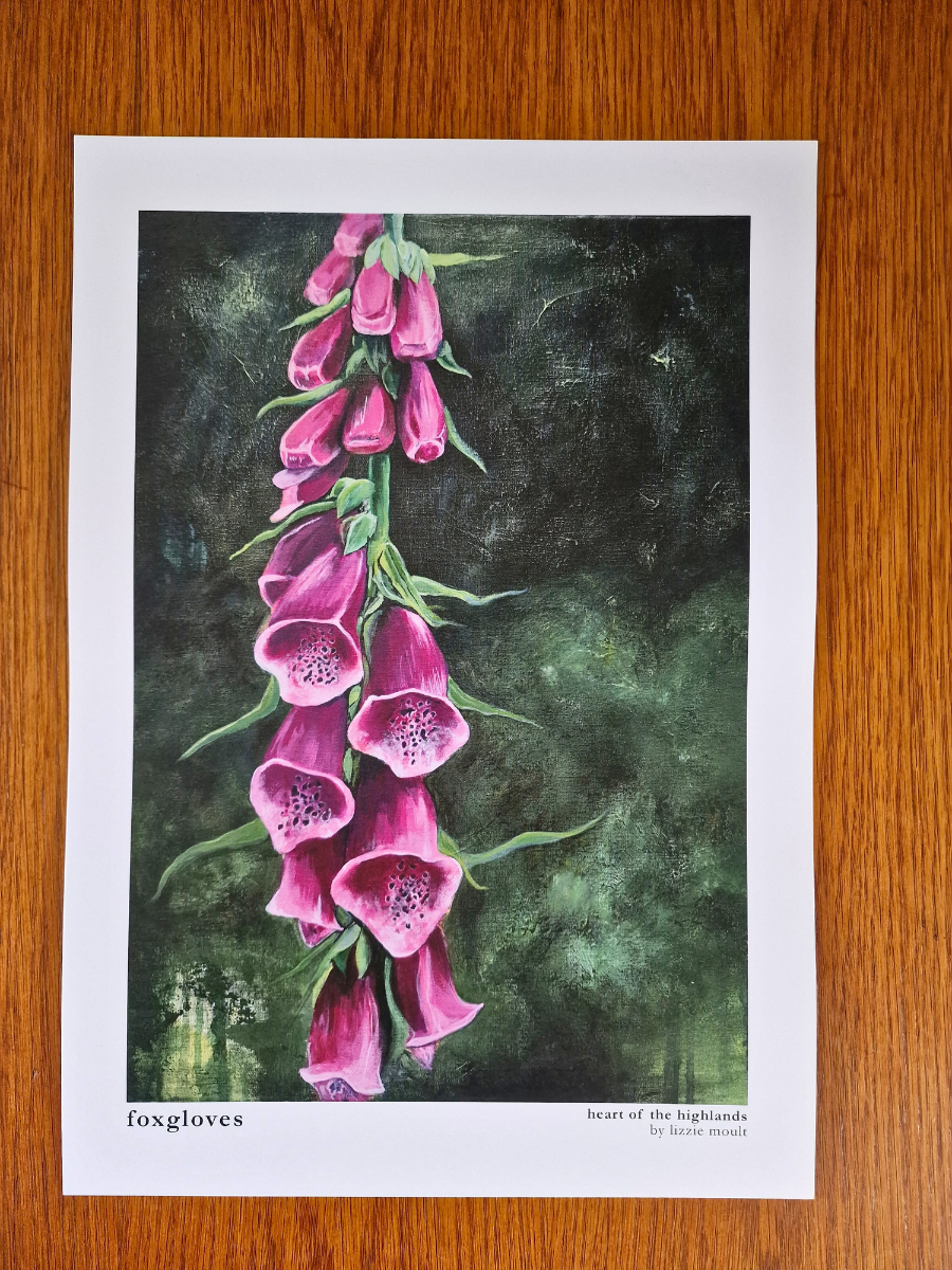 "Foxgloves" Heart of the Highland Series, Fine Art Print