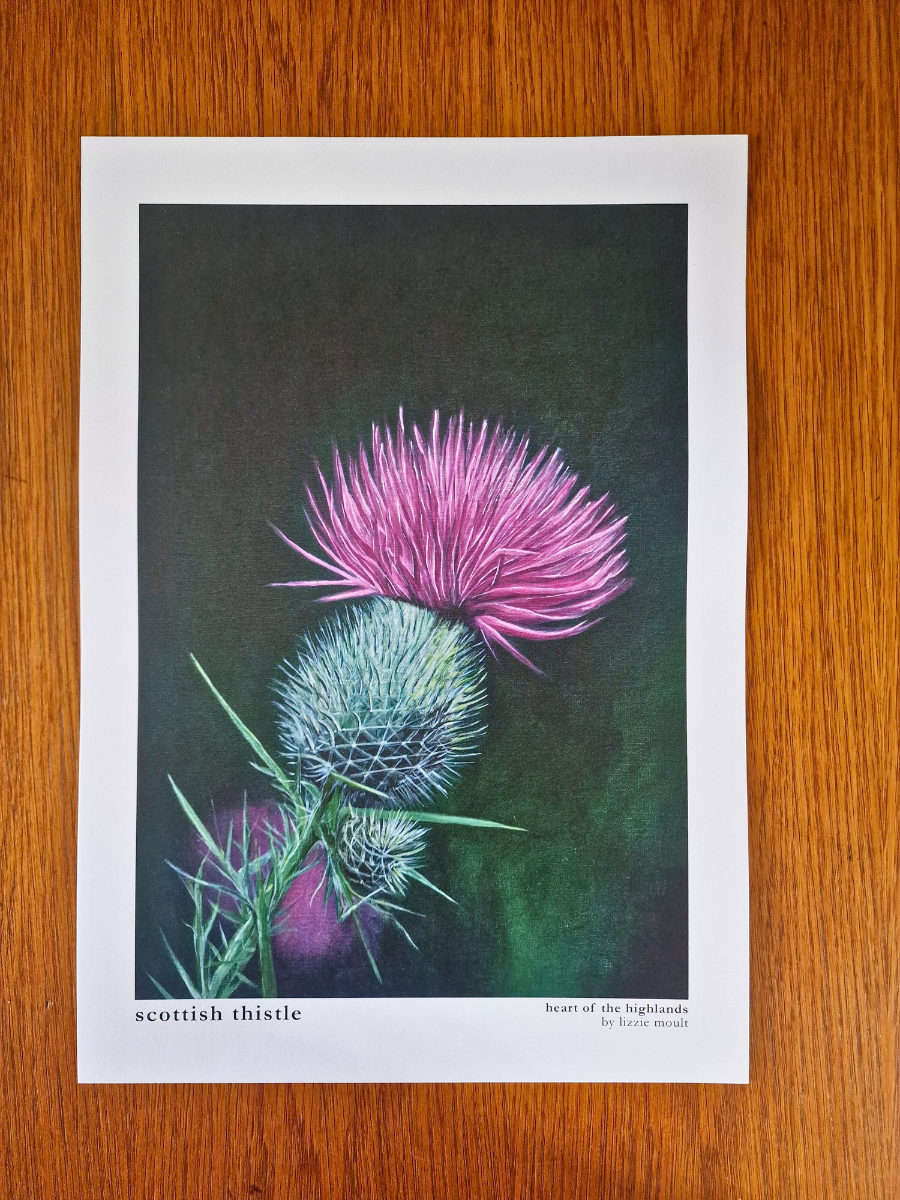 "Scottish Thistle" Heart of the Highland Series, Fine Art Print