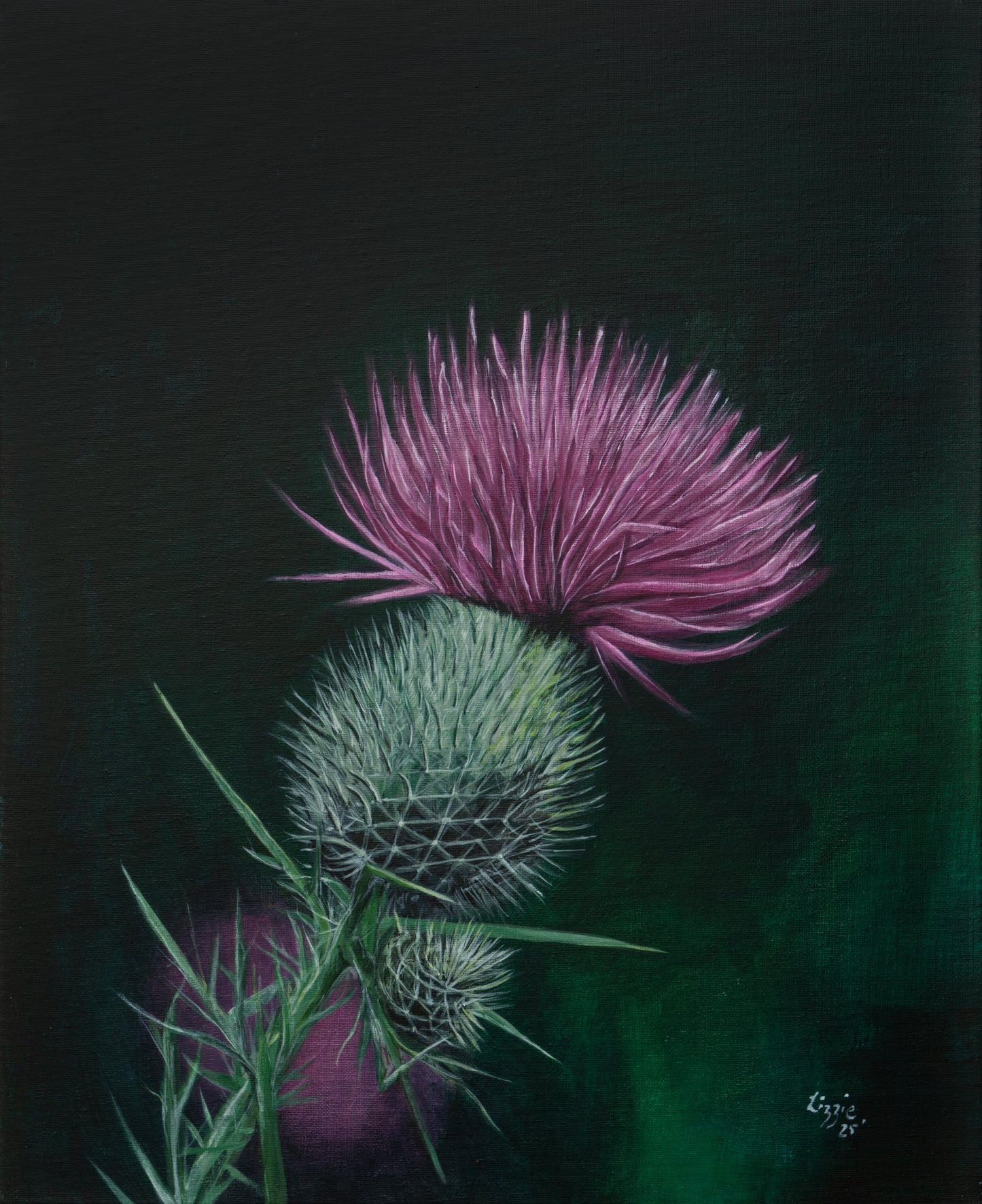 Scottish Thistle - Fine Art Print