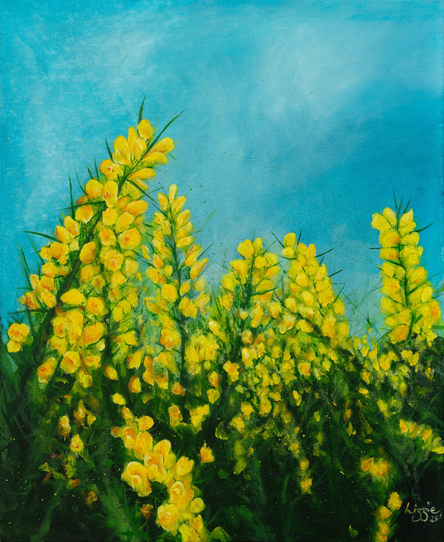 Gorse - Original - Heart of the Highland Series