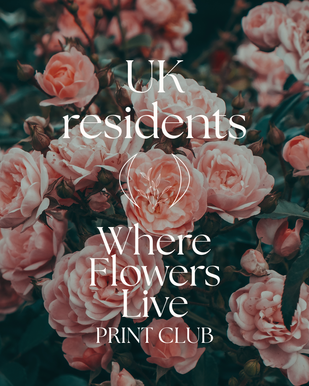 Where Flowers Live Print Club {UK only}
