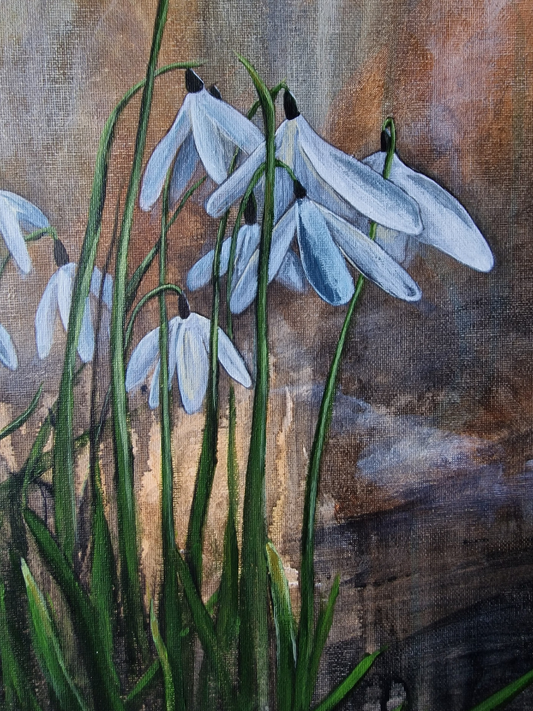 Snowdrops - Original - Heart of the Highland Series