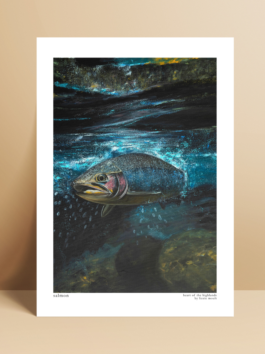 "Salmon" Heart of the Highland Series, Fine Art Print