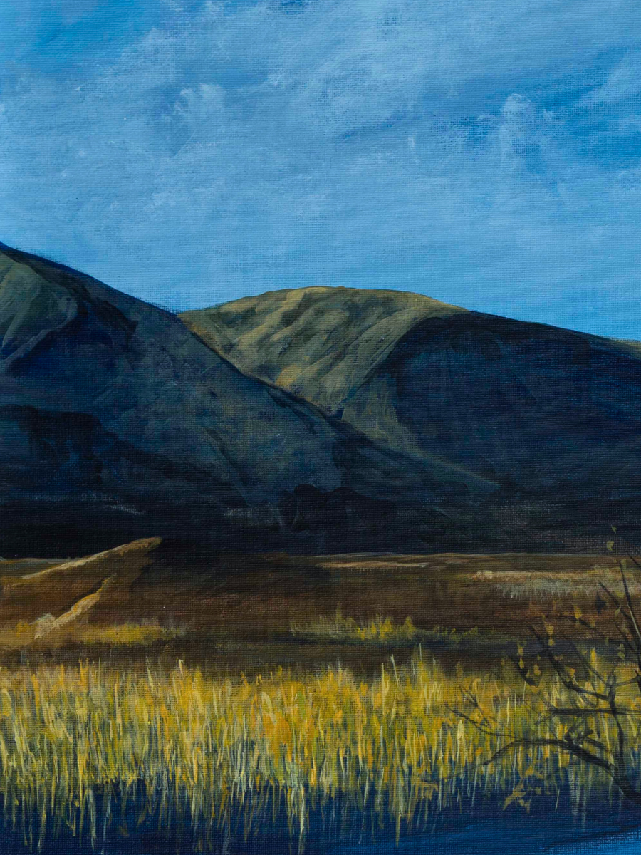 Rannoch Moor - Original - Heart of the Highland Series