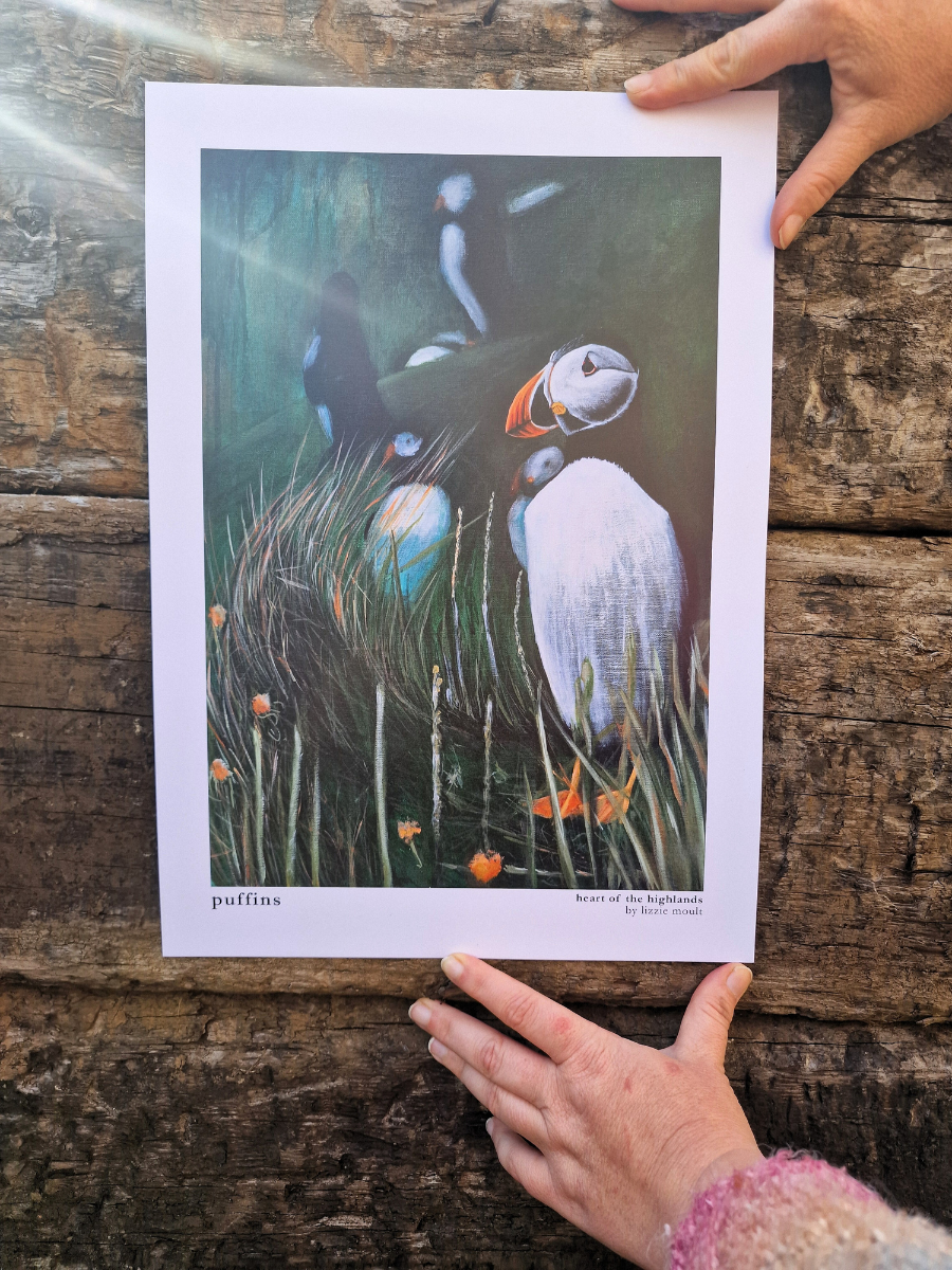 "Puffin" Heart of the Highland Series, Fine Art Print