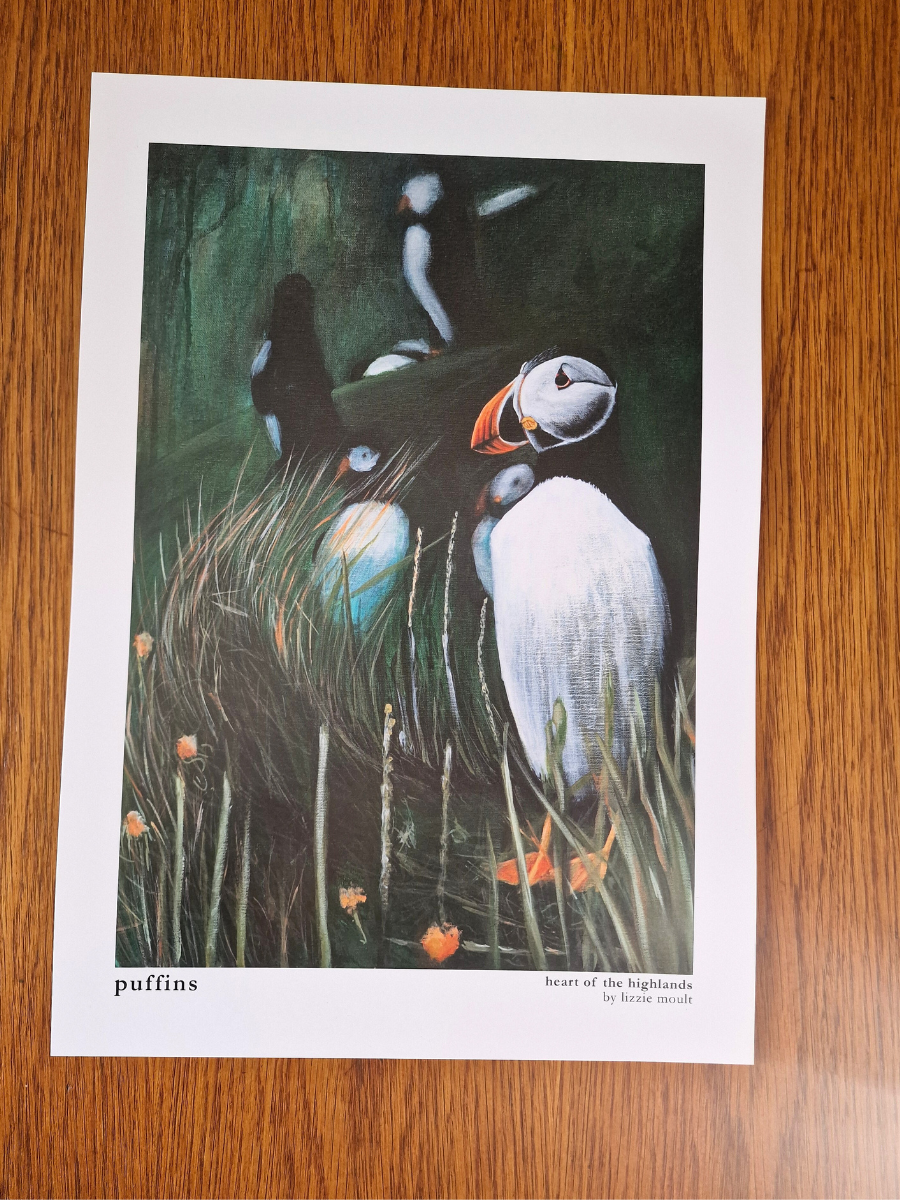 "Puffin" Heart of the Highland Series, Fine Art Print