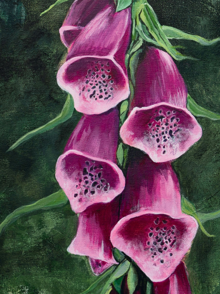 "Foxgloves" Heart of the Highland Series, Fine Art Print