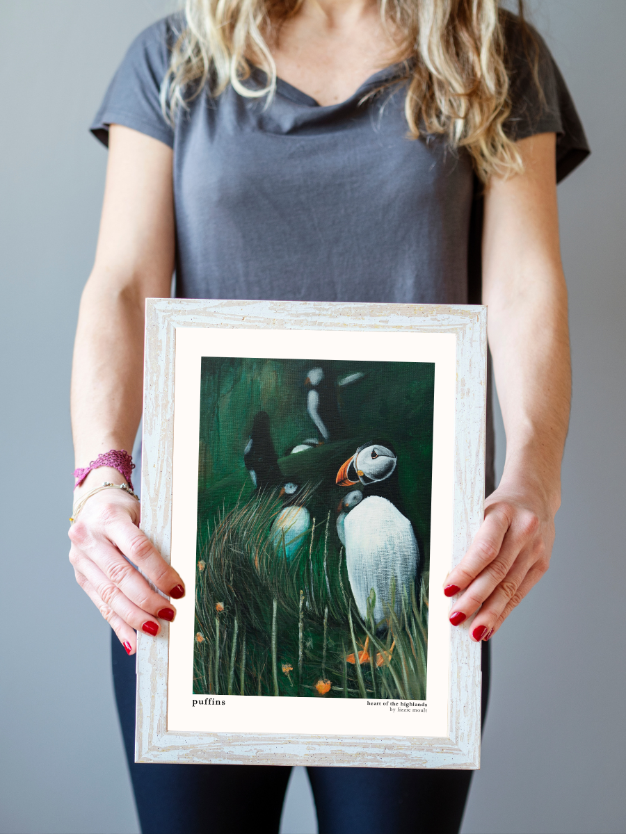 "Puffin" Heart of the Highland Series, Fine Art Print