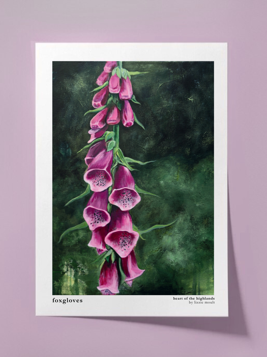 "Foxgloves" Heart of the Highland Series, Fine Art Print