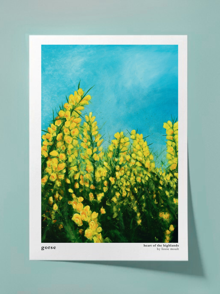 "Gorse" Heart of the Highland Series, Fine Art Print