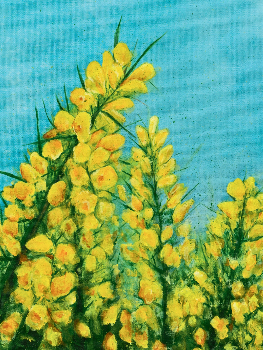 "Gorse" Heart of the Highland Series, Fine Art Print