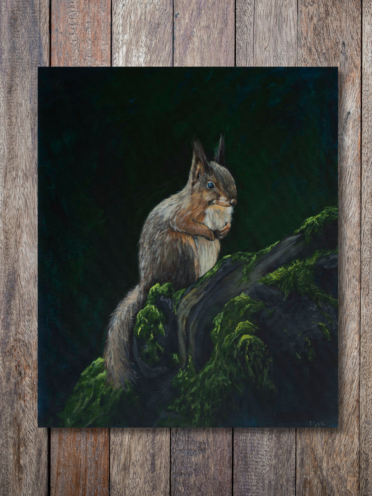 Red Squirrel - Original - Heart of the Highland Series
