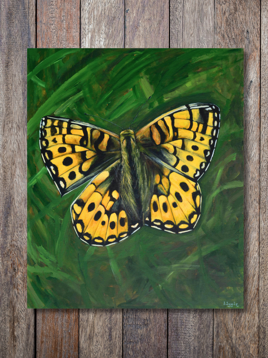 Common Butterfly - Original - Heart of the Highland Series