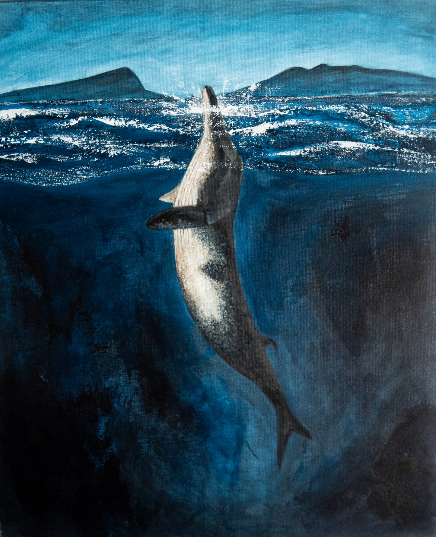 Minke Whale