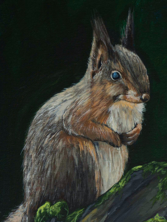 Red Squirrel - Original - Heart of the Highland Series