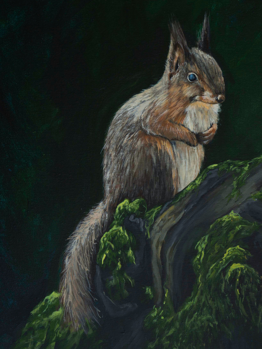 Red Squirrel - Original - Heart of the Highland Series