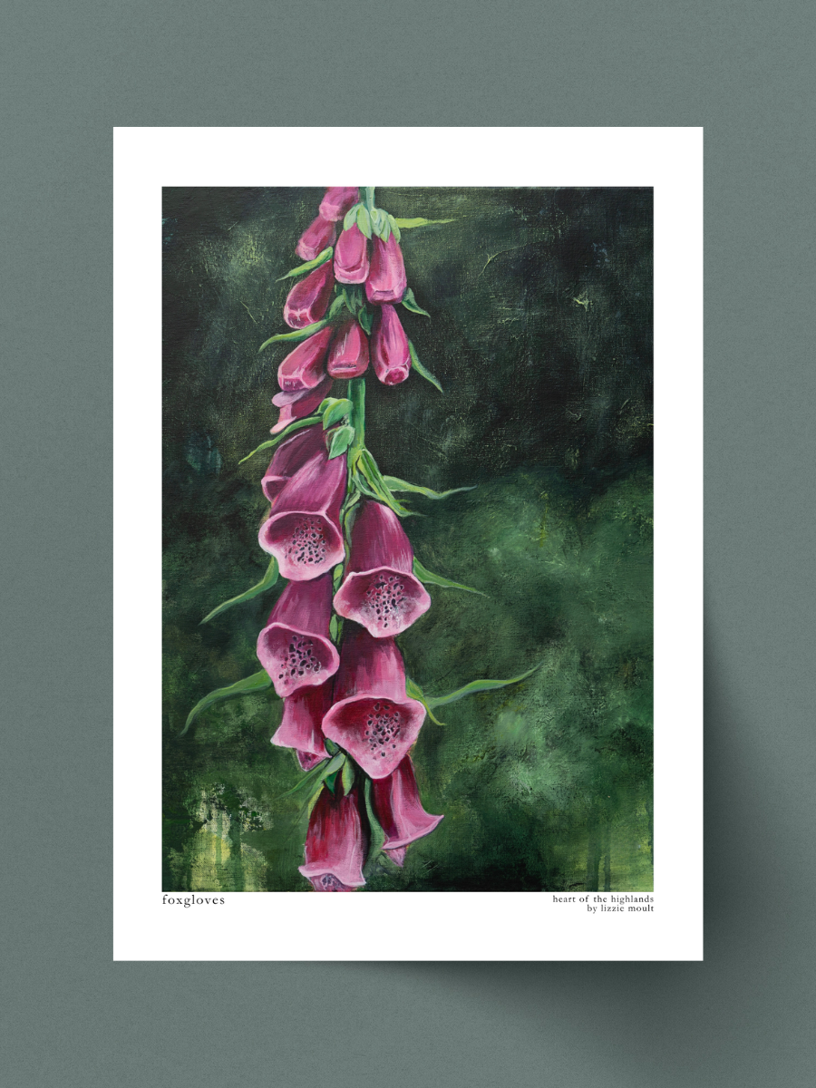 "Foxgloves" Heart of the Highland Series, Fine Art Print