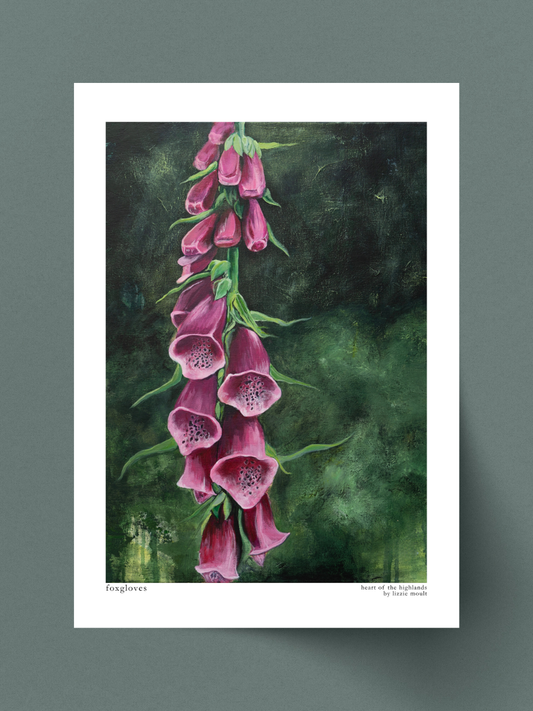"Foxgloves" Heart of the Highland Series, Fine Art Print