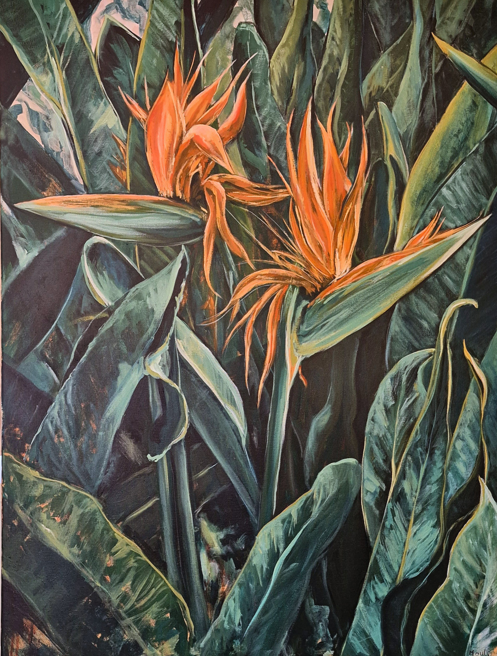 Birds of Paradise Duo