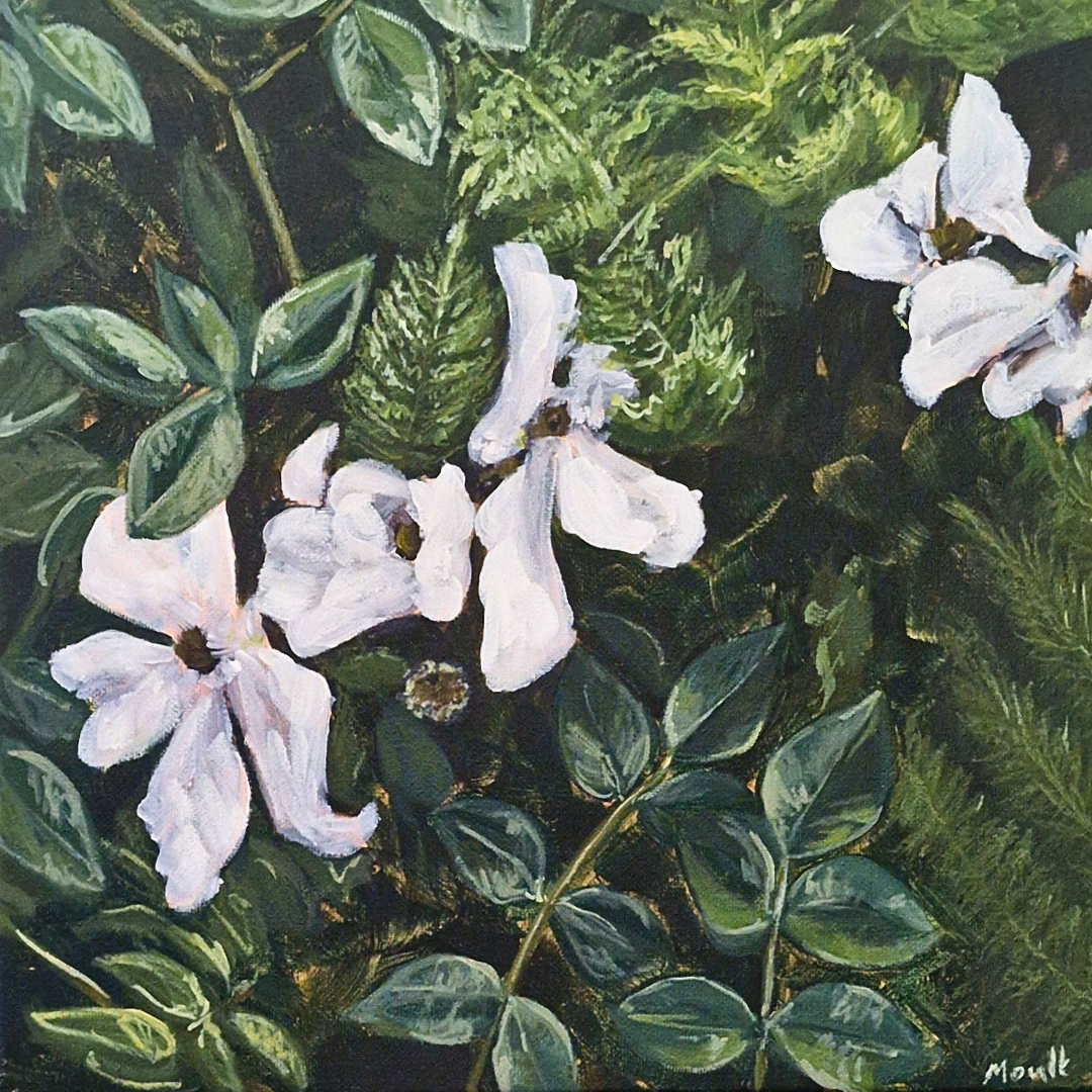 Undergrowth