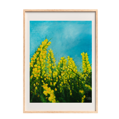 Gorse - Fine Art Print