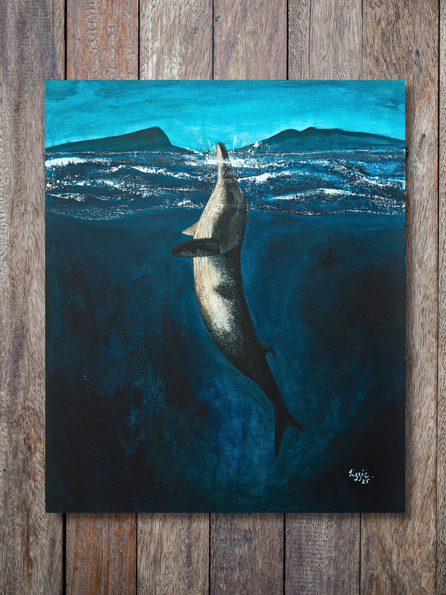 Minke Whale - Original - Heart of the Highland Series