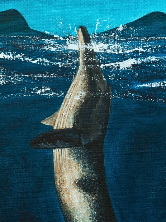 Minke Whale - Original - Heart of the Highland Series