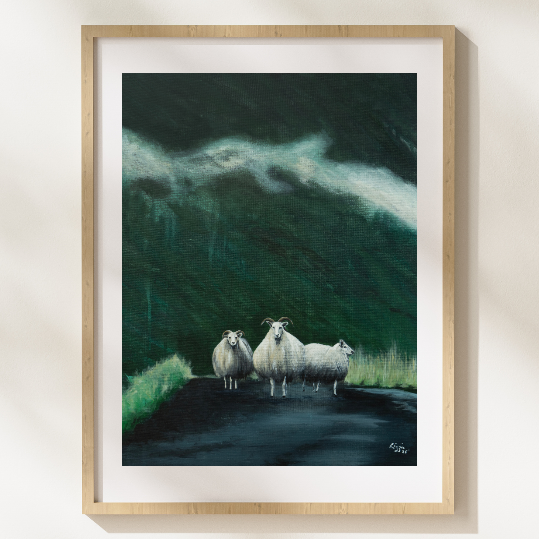 Sheep - Fine Art Print