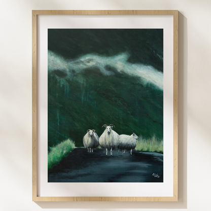 Sheep - Fine Art Print