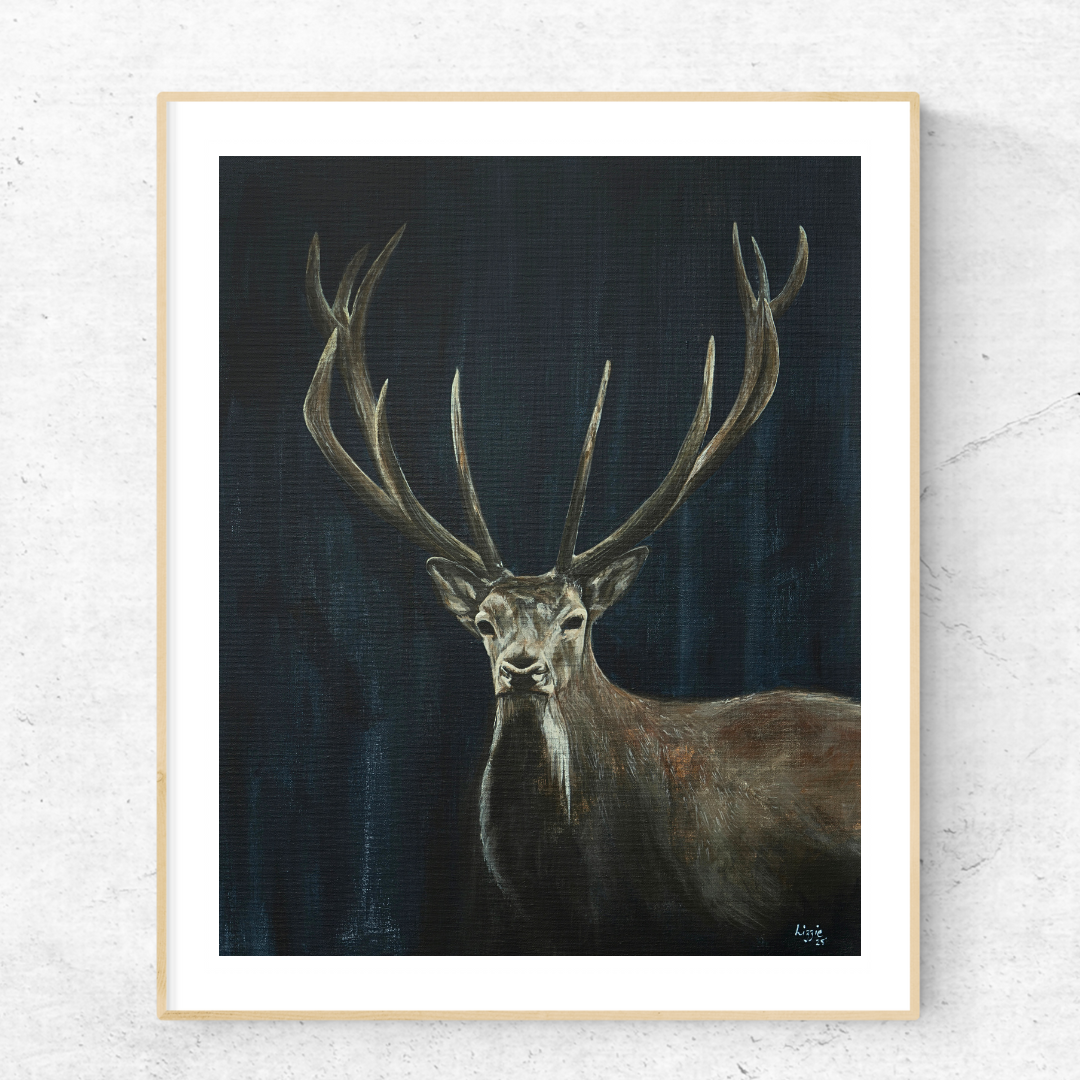 Red Deer - Fine Art Print