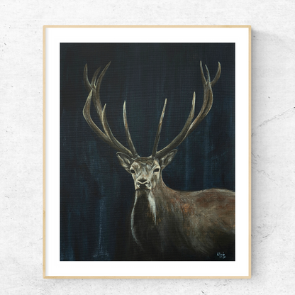 Red Deer - Fine Art Print