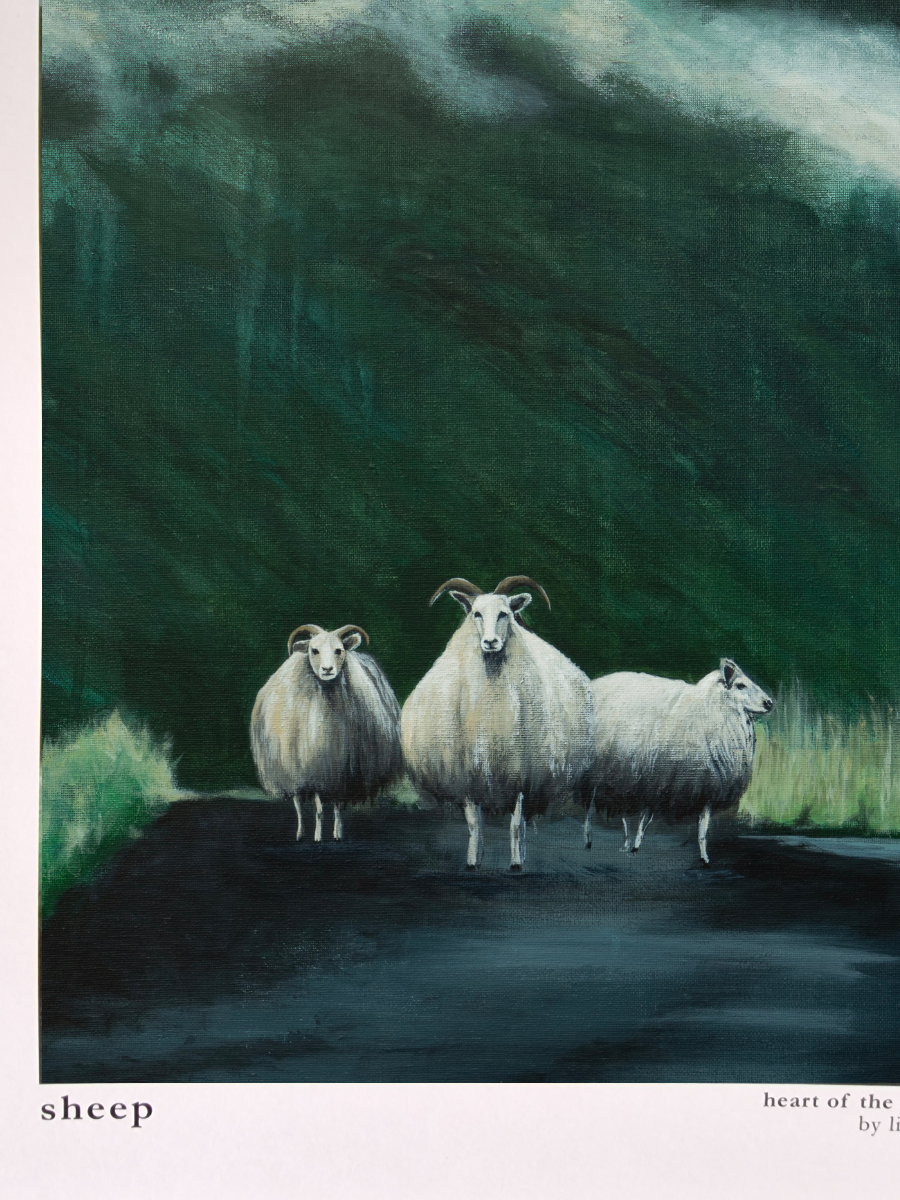 "Sheep" Heart of the Highland Series, Fine Art Print