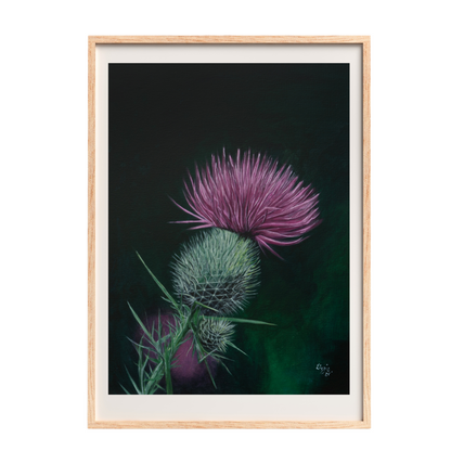 Scottish Thistle - Fine Art Print