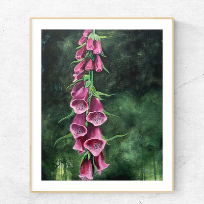 Foxglove - Fine Art Print