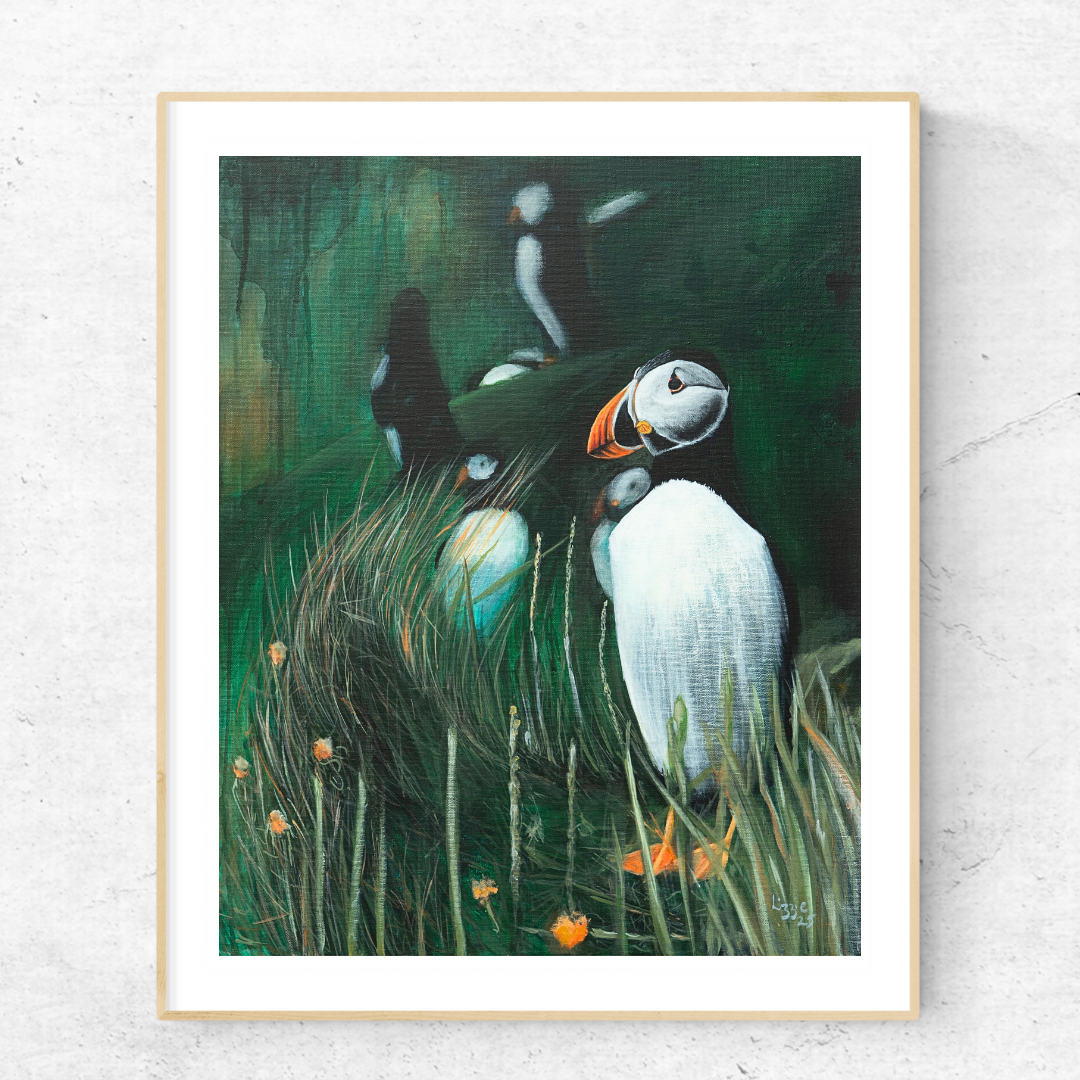 Puffin - Fine Art Print
