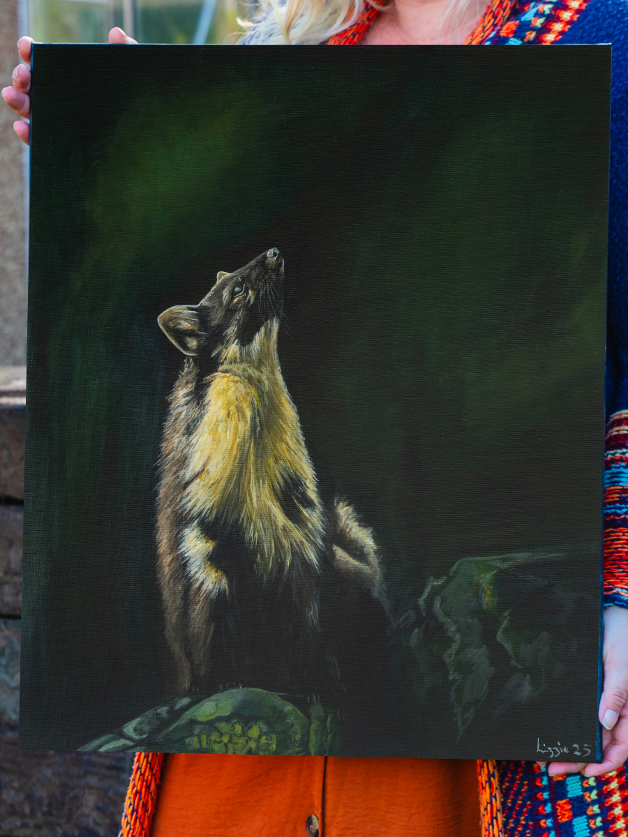 Pine Marten - Original - Heart of the Highland Series