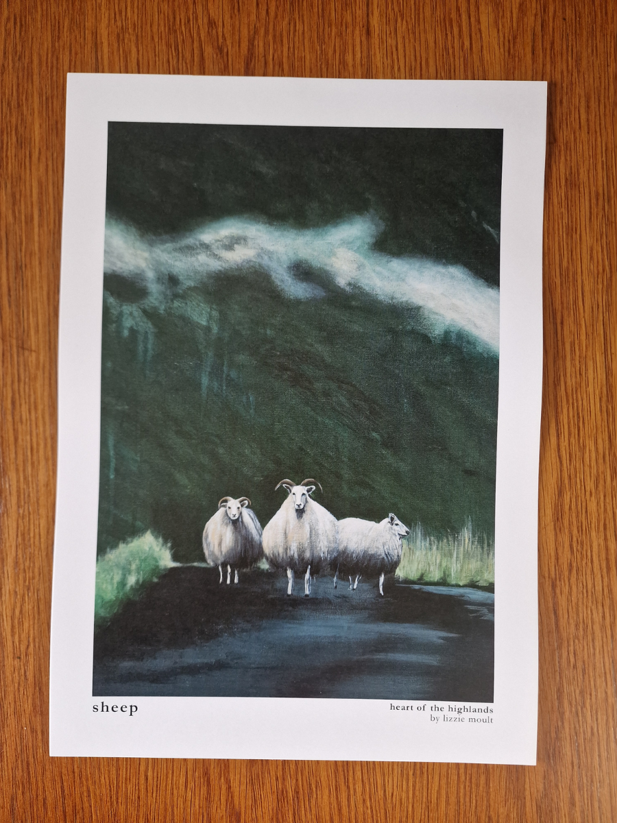 "Sheep" Heart of the Highland Series, Fine Art Print